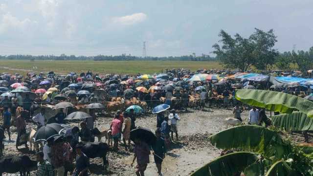 অবৈধ পশুর হাটের আয় মিলেমিশে ভাগবাটোয়ারা