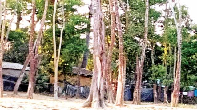 ১৩ হাজার একর বন রক্ষায় মাত্র ৩০ কর্মী