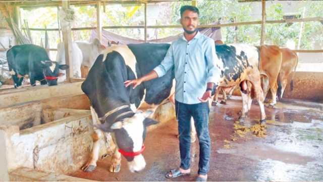 ৪টি থেকে ৪০ গরু আরাফাতের