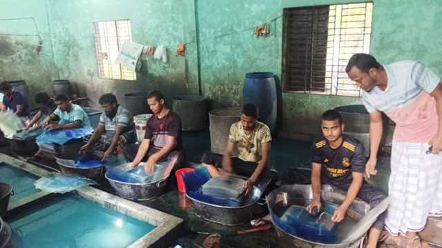 পরিত্যক্ত ফিল্মে জীবিকা