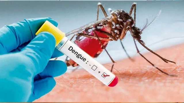 জুনে ডেঙ্গু সংক্রমণ বৃদ্ধির শঙ্কা