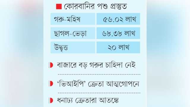 গরুর হাটে ছাগলকাণ্ডের ছায়া, দুশ্চিন্তায় বড় খামারিরা