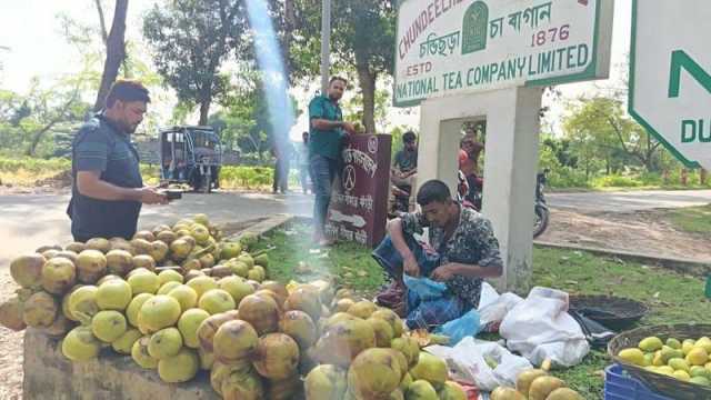 তীব্র গরমে তালের শাঁসে স্বস্তি দর্শনার্থীর