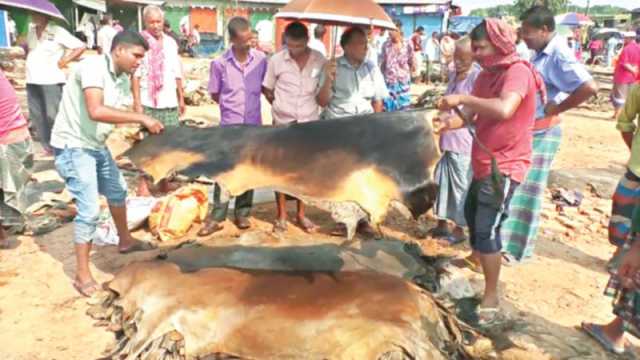 অর্ধশত বছরের চামড়ার মোকাম রাজারহাট