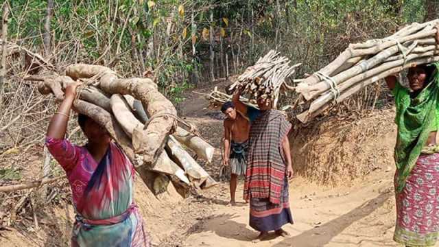 আজও আঁধার কাটেনি কোচদের