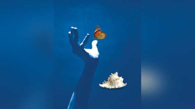 হারিয়ে যাওয়ার নিয়ম নেই এখানে