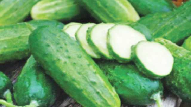 শসার উপকারিতা