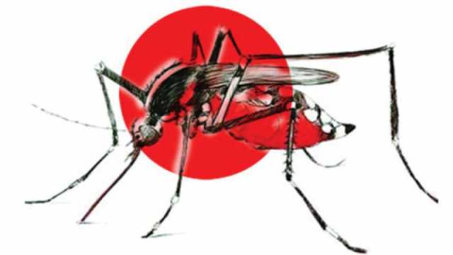 হাসপাতালে বাড়ছে রোগীর চাপ