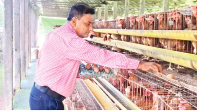ছোট উদ্যোক্তা থেকে বড় খামারি