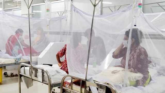 হঠাৎ ডেঙ্গু রোগী সাড়ে ৭ গুণ