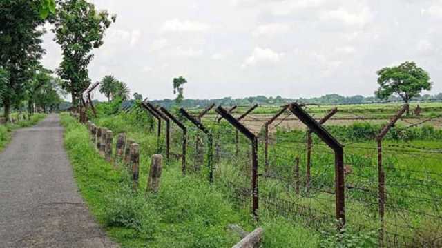 হারানো কোরবানির মহিষটি ভারত থেকে ফেরত আনলো বিজিবি