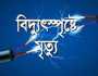 শরীয়তপুরে বিদ্যুৎস্পৃষ্টে যুবকের মৃত্যু
