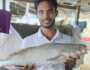 পটুয়াখালীতে ৫ কেজির পোয়া মাছ ৮০ হাজারে বিক্রি