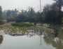 অস্তিত্ব সংকটে হেতালবাড়িয়ার খাল, অনাবাদি থাকছে হাজারো কৃষকের জমি
