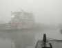 ঘন কুয়াশায় শরীয়তপুর-চাঁদপুর রুটে ফেরি চলাচল বন্ধ