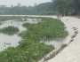 গোপালগঞ্জের মানিকদাহে মধুমতির তীরে প্রতিরক্ষা বাঁধ এনেছে স্বস্তি 