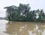 মৌলভীবাজারে নিম্নাঞ্চলে জলাবদ্ধতা, পানিবন্দি ৫ হাজার মানুষ 