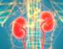 কিডনি রোগে আক্রান্তের সংখ্যায় ভারত বিশ্বে দ্বিতীয়