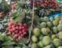 ১৫ মে থেকে নাটোরে আম-লিচু সংগ্রহ শুরু