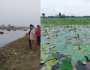 প্রথম ‘জলাভূমি নির্ভর প্রাণী অভয়ারণ্য’ রাজশাহীর ২ জলাভূমি