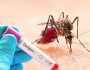 ডেঙ্গু: ২৪ ঘণ্টায় মৃত্যু ২, হাসপাতালে ভর্তি ৫৬৫